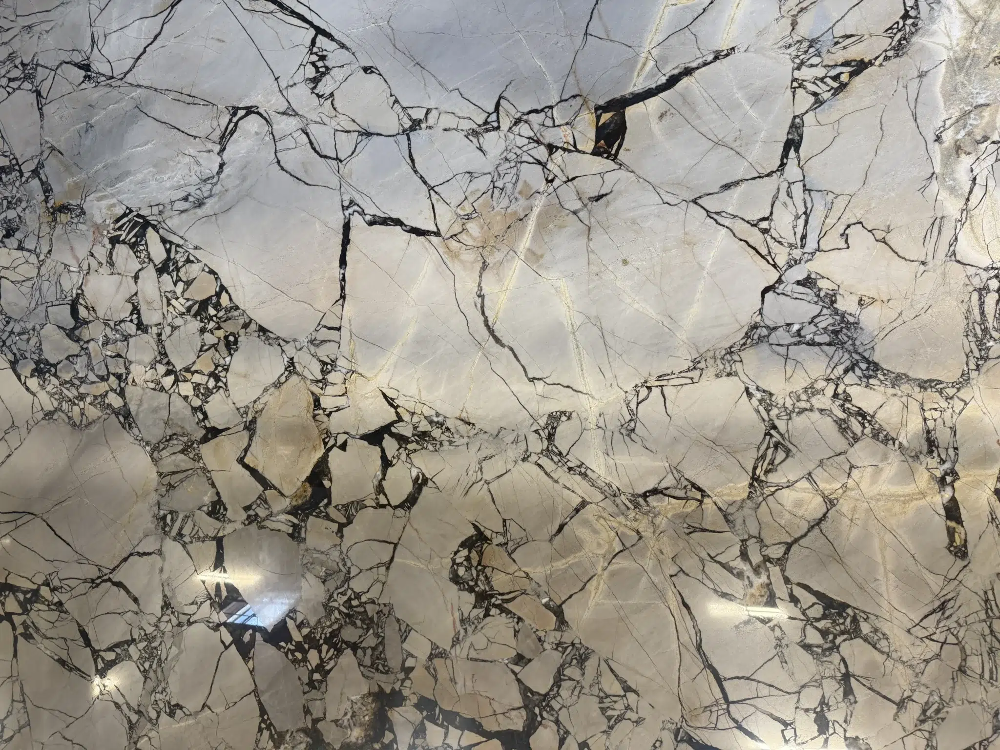 Texas-sourced stone expertise for luxury residential builds.

Serving the Greater Texas region with premium stone fabrication.

The most popular quartzite colors in the Texas market.

Texas-sized kitchen islands featuring seamless quartzite.

Weather-tested quartzite for Texas climates and outdoor living.

Top-tier Texas stone installers for high-end developments.

Trusted Texas countertop company specializing in rare exotics.